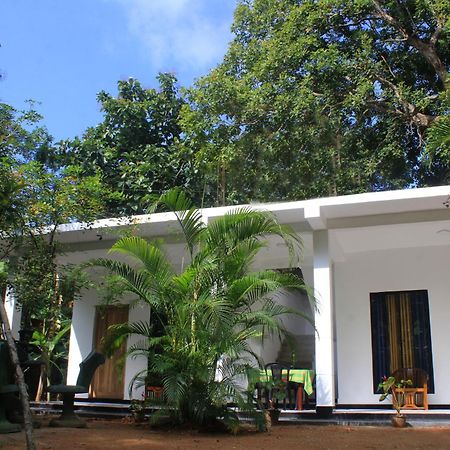 Sigiriya Mana B&B 외부 사진