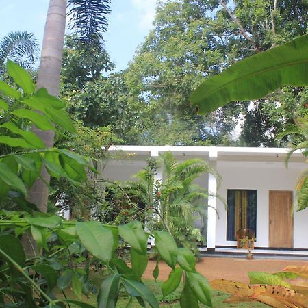 Sigiriya Mana B&B 외부 사진