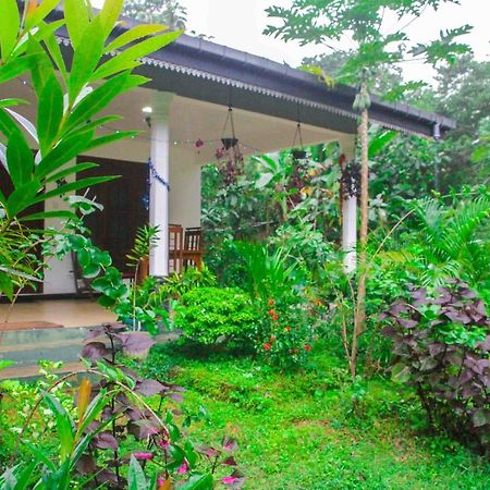 Sigiriya Mana B&B 외부 사진