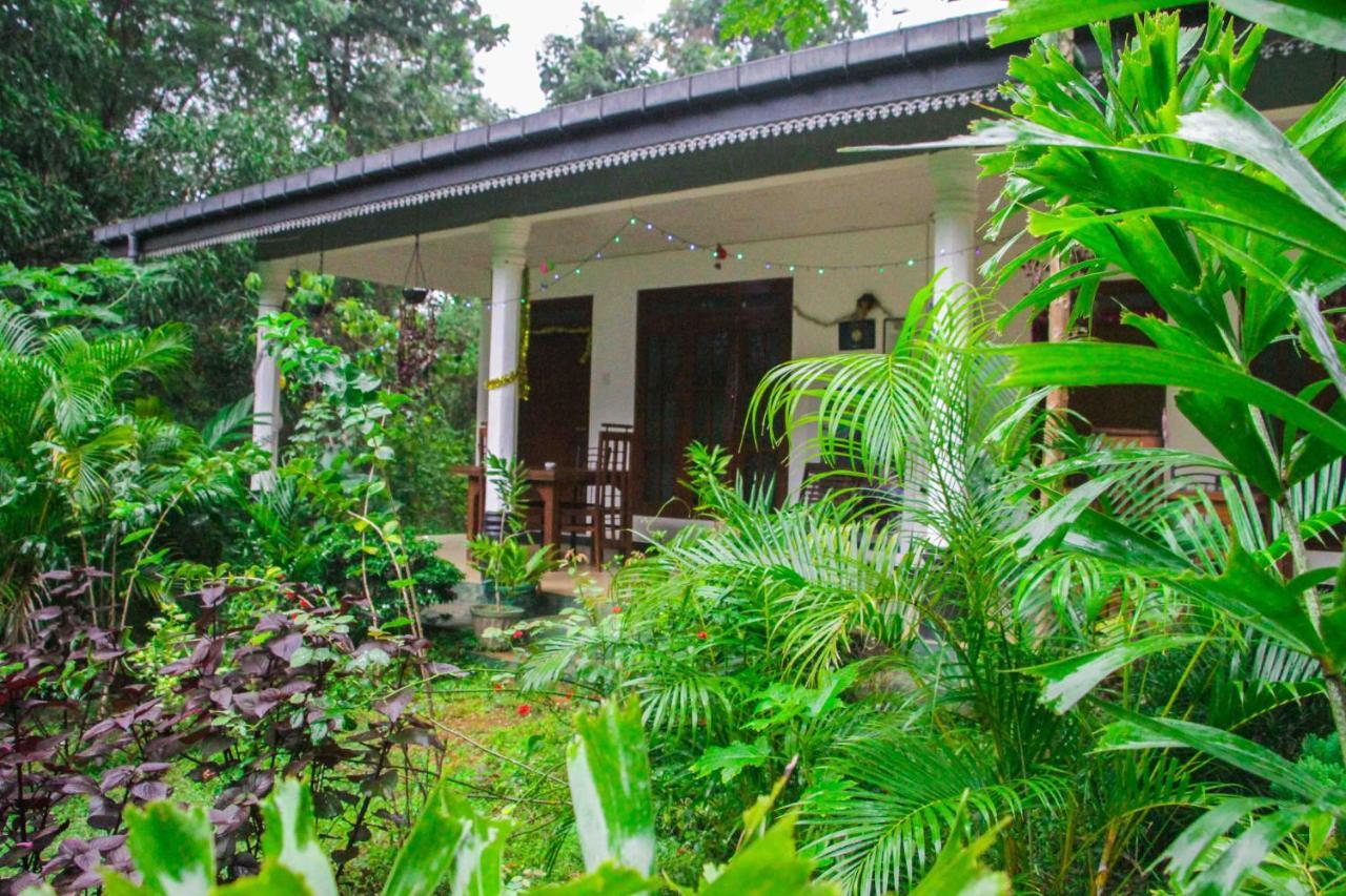 Sigiriya Mana B&B 외부 사진