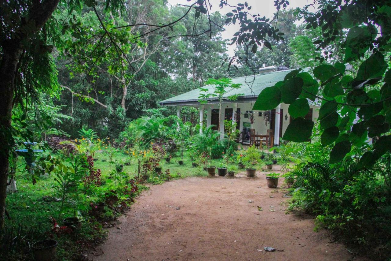 Sigiriya Mana B&B 외부 사진