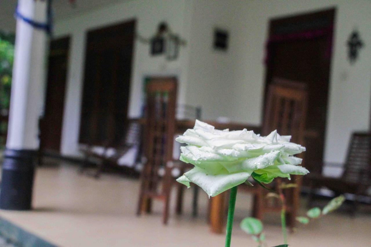 Sigiriya Mana B&B 외부 사진