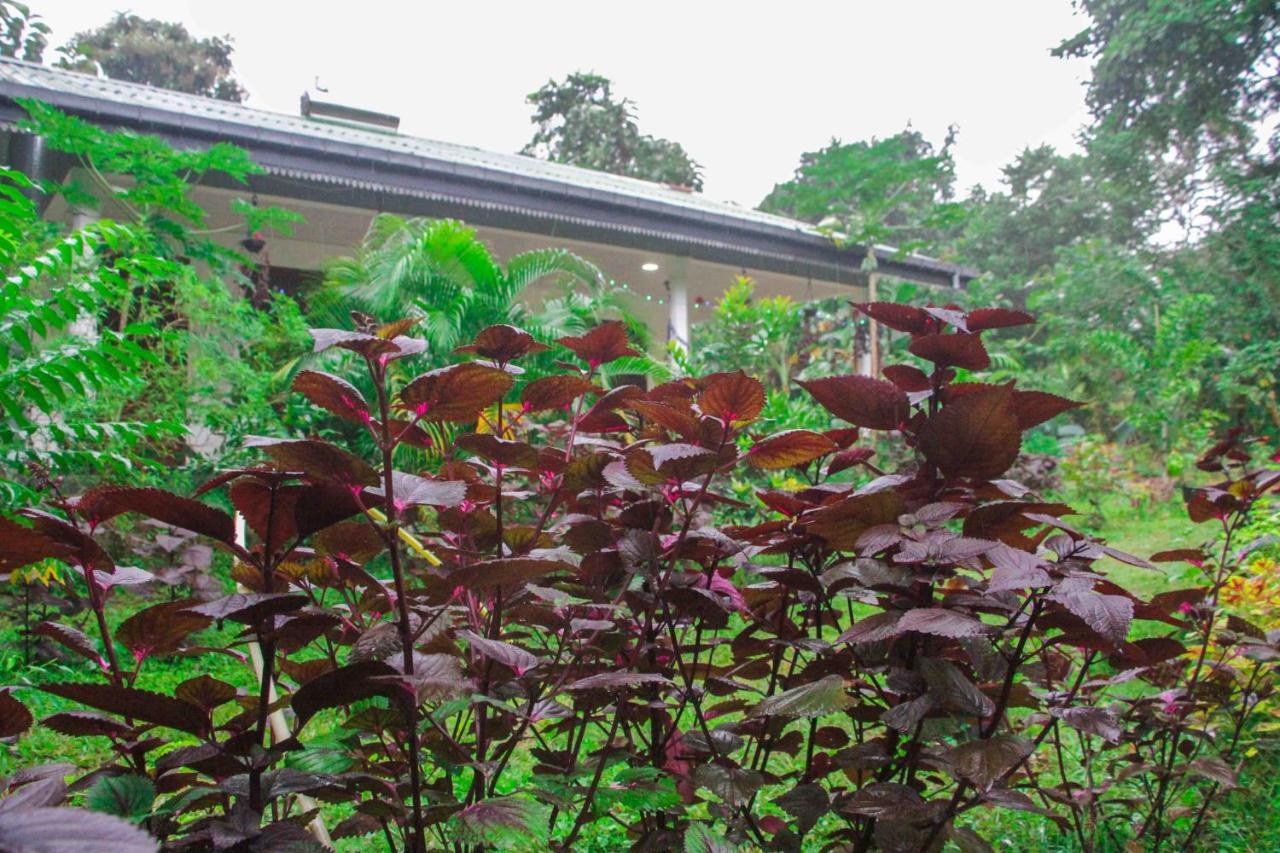 Sigiriya Mana B&B 외부 사진