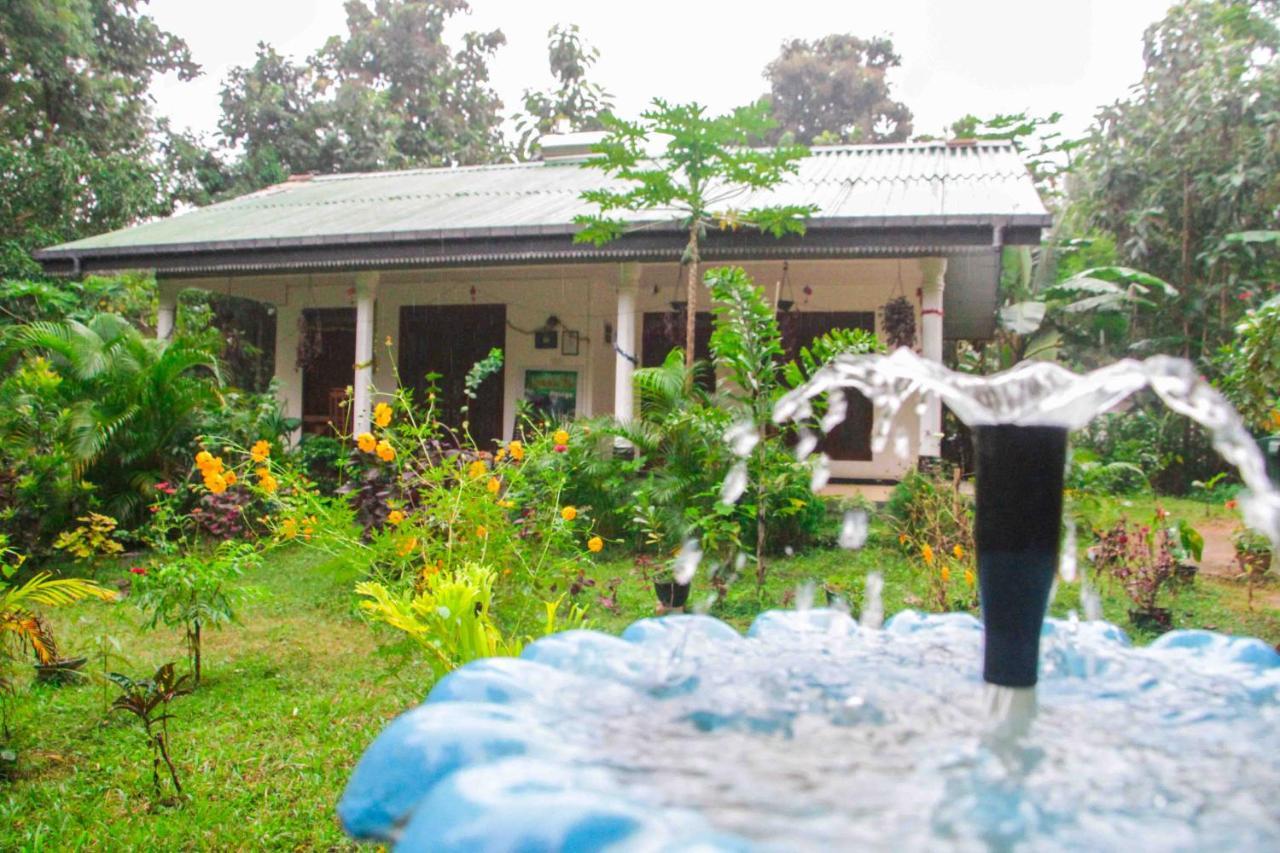 Sigiriya Mana B&B 외부 사진