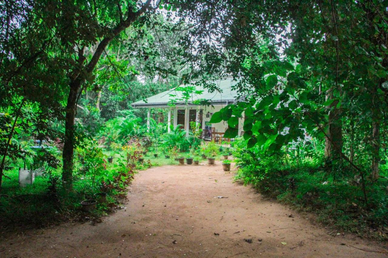 Sigiriya Mana B&B 외부 사진