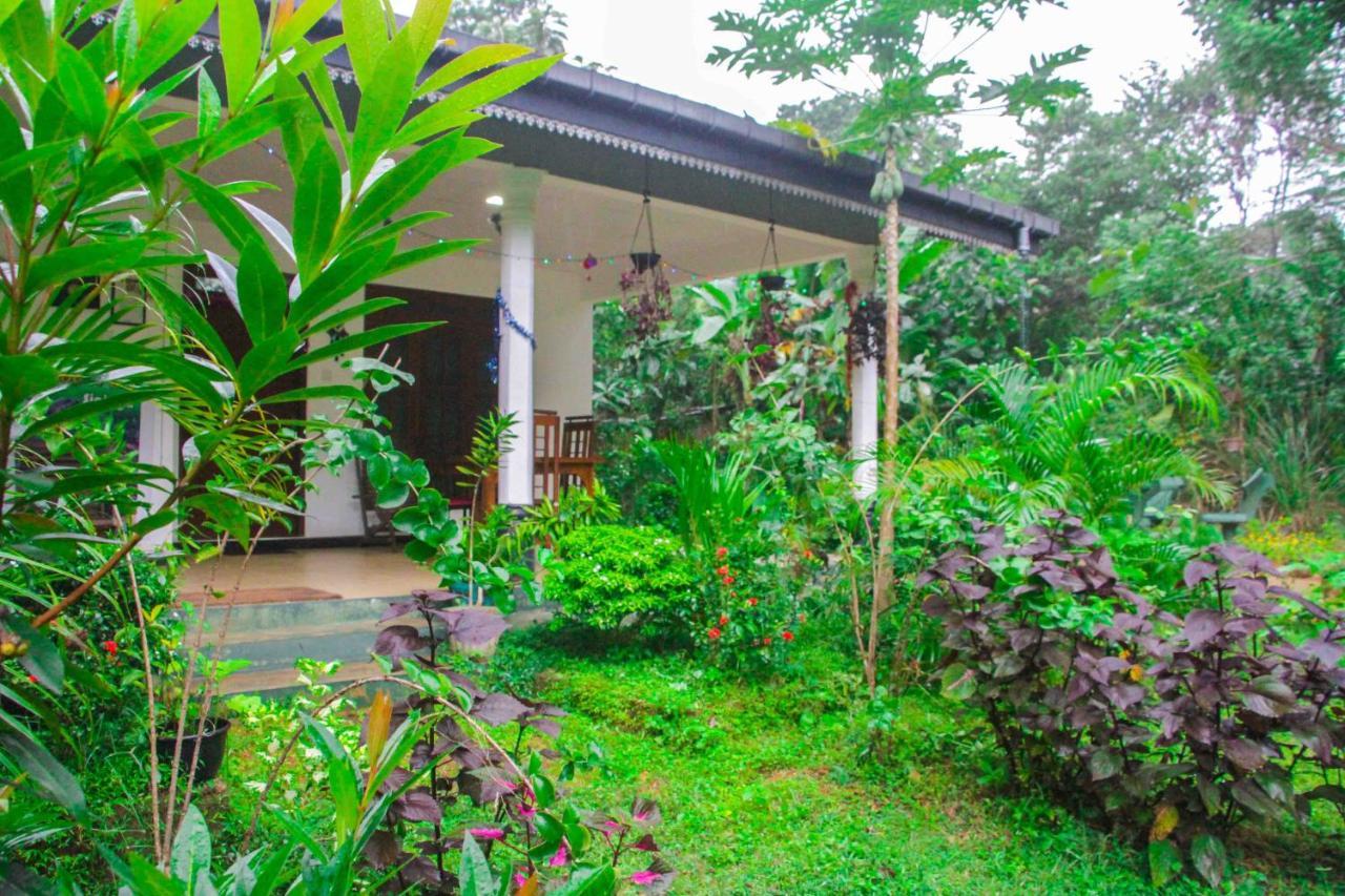 Sigiriya Mana B&B 외부 사진