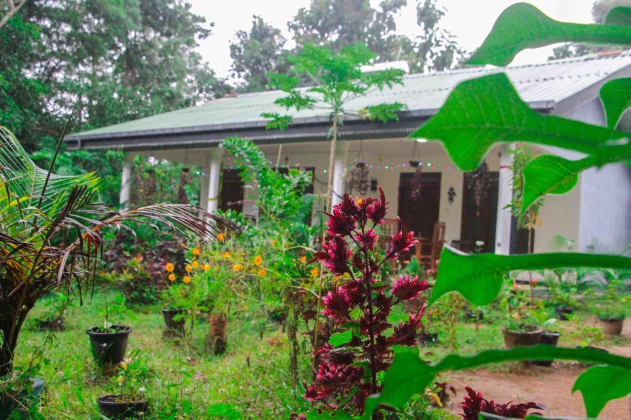 Sigiriya Mana B&B 외부 사진