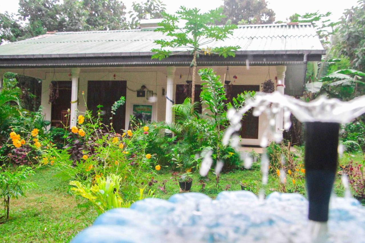 Sigiriya Mana B&B 외부 사진