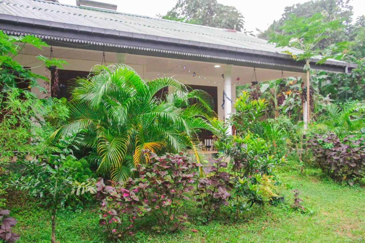 Sigiriya Mana B&B 외부 사진