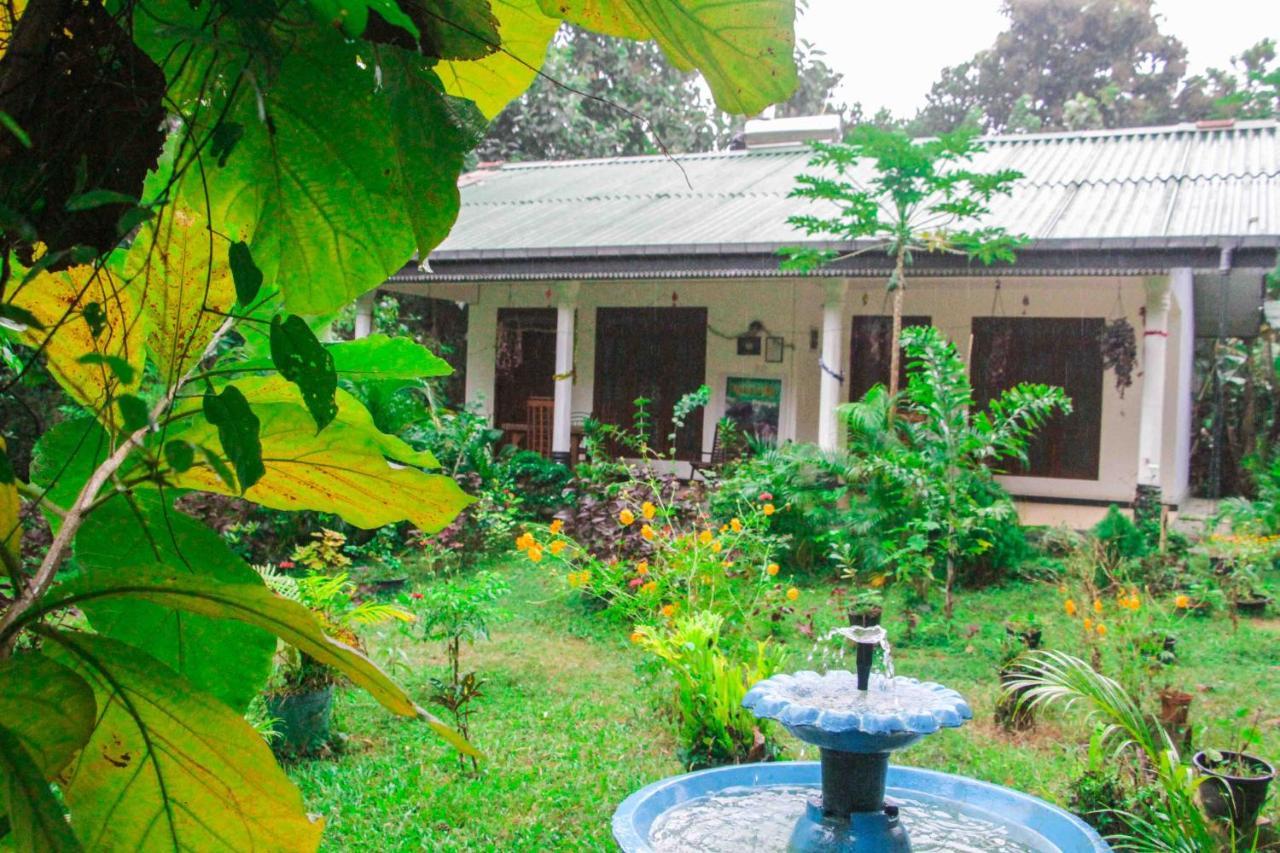 Sigiriya Mana B&B 외부 사진